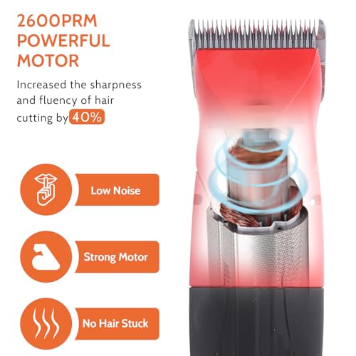 DUCKBOY 35W Pet Clipper Grooming Kit, 4 Interchangeable Blades, 3m Cable