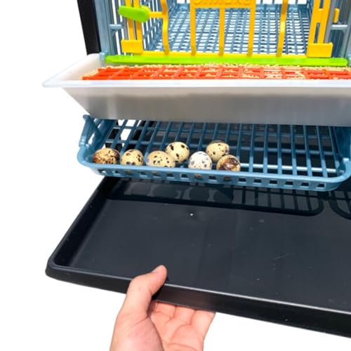 Hatching Time Jumbo Quail Cage Layer Addition – Jumbo Flooring Expansion Add-On for Quail Housing │ Removable Dividers, Extended Waste Trays, Egg Roll-Out Design, Easy-Clean ABS Plastic - style: Jumbo