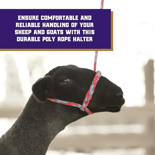 Weaver Livestock Braided Poly Rope Halter, 4 ft Modern, Adjustable, Soft Braid Sheep Halter, Livestock Equipment for Sheep, Goats (Pack of 2)