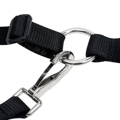 Durable Ventilated Grazing Muzzle with Attached Breakaway Halter - Lightweight Horse Muzzle, Supports Natural Grazing, Restricts Food Intake, Padded Noseband - color: Onyx Black