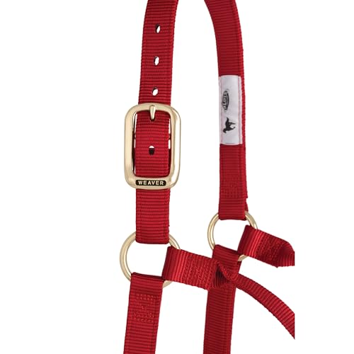 Weaver Leather Original Non-Adjustable Nylon Horse Halter