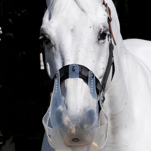 Thinline Turnout Halter for Use with Grazing Muzzle | Horse Equine Safe Comfortable Adjustable Breakaway Halter - Size Options - size: Medium Mini