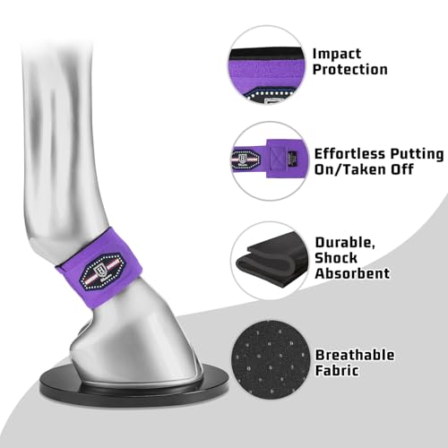 Harrison Howard Long-Lasting Shock-Absorbent Breathable Impact Protection Pastern Wraps for Horse Sold in Pairs-Purple - color: Purple