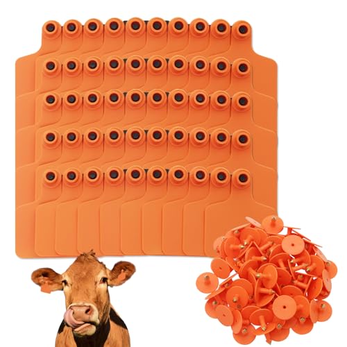 100 Pcs Blank Cattle Ear Tags Large TPU Livestock Identification Tags for Cattle Cow Sheep Goat Pig Hog Calf Horse Farm Management Animal Identification Durable Weather Resistant (Orange) - color: Orange