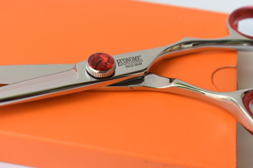 Professional Hair Scissors/Shears 5.5" For Hair Cutting Convex Edge Blade Japanese Process Shears 440C Stainless Steel - style: 5.5 Inch (Pack of 1)