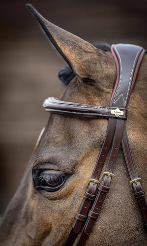 LeMieux Kudos Competition Flash Bridle - color: Havana, size: Full