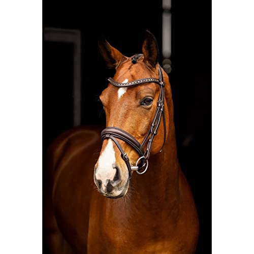 LeMieux Arika Dressage Bridle - color: Brown/Silver, size: X-Full