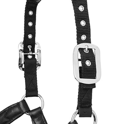 LeMieux Capella Headcollar for Horses - Leather/Nylon - Pressure Relief & Soft Touch - color: Black