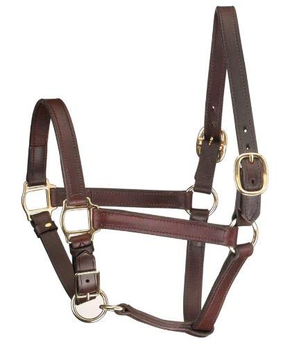 Tack Shack of Ocala Leather Mini or Suckling Foal Size Horse Halter | Brown Leather with Solid Brass Hardware | Adjustable Chin, Double Stitched, Double Buckle Crown.
