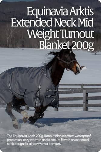 Equinavia Arktis Extended Neck Mid Weight Turnout Blanket 200g - Charcoal Gray - 75 in - color: Charcoal Gray, size: US 75 in