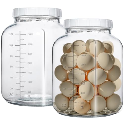1 Gallon Glass Jar with Lids,2 Pack Super Wide Mouth Large Mason Jars 128 oz,Glass Gallon Jugs Storage Container for Sun Tea,Kombucha,Storing,Canning