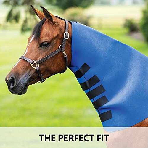 Dura-Tech Superior Neck Sweat for Horses | Horse's Sculpting Aid | Designed by Professionals | Stretchy Neoprene Adjustable Closure | Achieve Quick Results | Size Small - size: Small