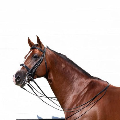 Equinavia Saga Double Bridle w/Reins - size: Horse