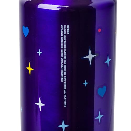 Silver Buffalo Disney Lilo and Stitch, Stainless Steel Water Bottle, 27oz | Get Weird, Includes Strap, 0.8 Liters - color: Lilo and Stitch Get Weird, size: 27 Ounces
