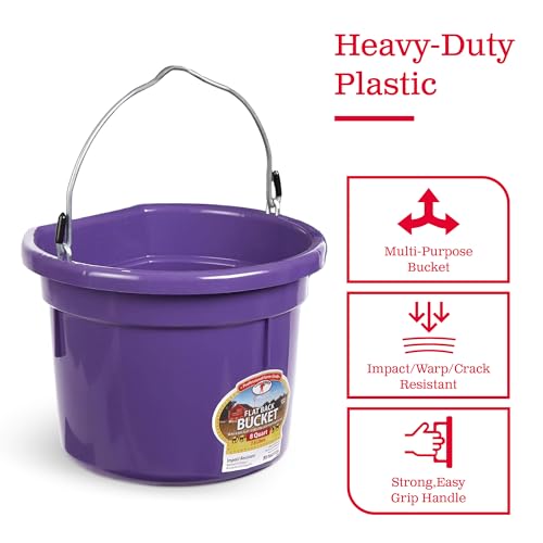 Little Giant P8FBPURPLE 2 Gallon All Purpose Heavy Duty Farm Flat Back Plastic Buckets for Supplies, Toys, Laundry, and Water, Purple, (4 Pack)