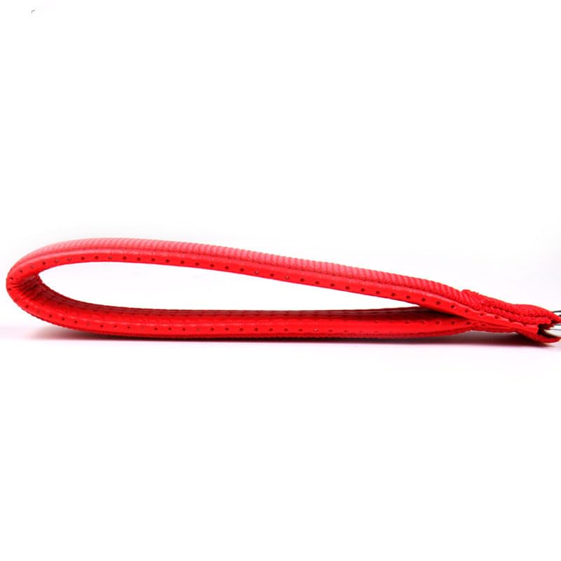 SGODA Metal Chain Heavy Duty Dog Leash, 4 ft. x 4.0 mm Red - color: Red, size: 4 ft x 0.16 in