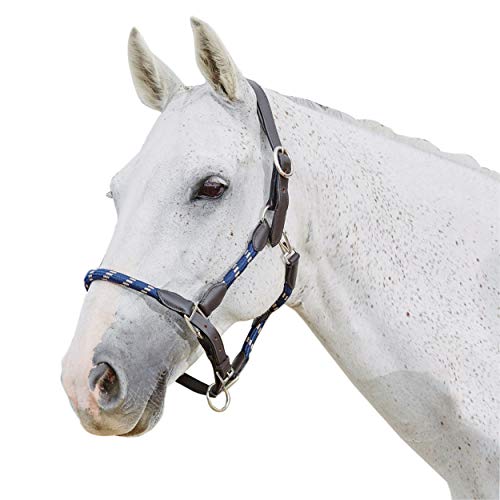 Kincade Leather Rope Halter, Hunter Green/Brown, Cob - color: Hunter Green/Brown, size: Cob