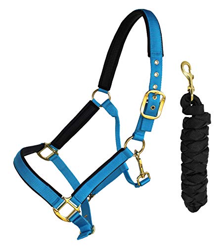 Nylon Horse Neoprene Padded Halter Brass Hardware Horse Tack Equine 606173 - color: Sky Blue
