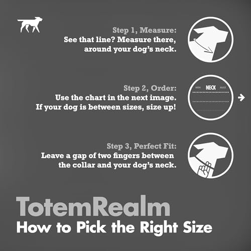 Tuff Pupper Premium Adjustable Dog Collar for Small Boy & Girl Dogs, Stylish Pattern Collars Designed in USA, Quick Release Buckle, TotemRealm Print, Small (0.7 Inch Wide x 8-12 Inch Neck) - color: TotemRealm, size: Small