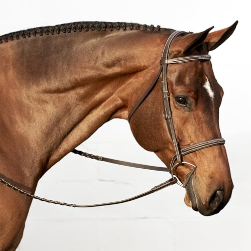 Equinavia Saga Adjustable Padded Fancy Stitched Hunter Bridle with Reins - size: Cob