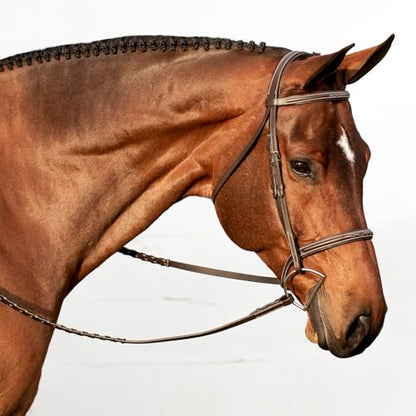 Equinavia Saga Adjustable Padded Fancy Stitched Hunter Bridle with Reins - size: Cob