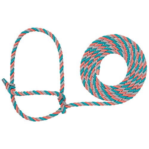 Weaver LivestockRope Halter - color: Purple/Black/Teal, size: One Size