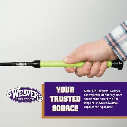 Weaver Livestock Basic Pig Show Whip, Hog Livestock Whip with Braided Nylon Handle, Leather Popper, Lightweight Braided Shaft - color: 36" - Lime Green