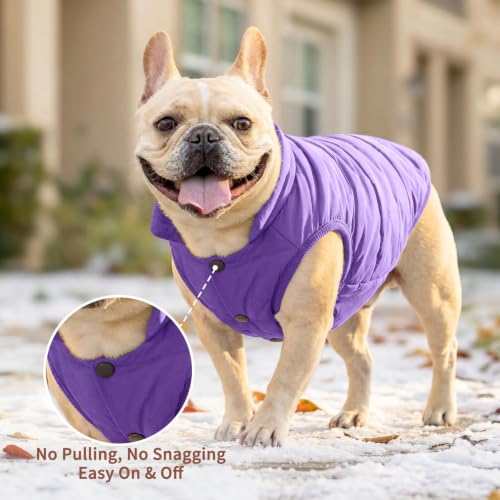 JoyDaog Fleece Lined Dog Jacket for Small Dogs,Winter Dog Coat,Purple S - color: Purple, size: Small