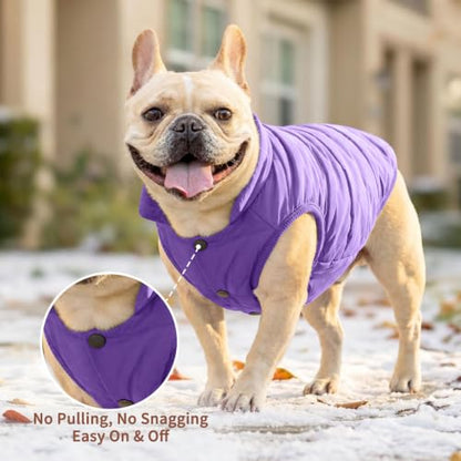 JoyDaog Fleece Lined Dog Jacket for Small Dogs,Winter Dog Coat,Purple M - color: Purple, size: Medium