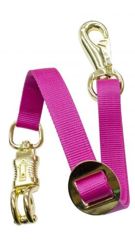 Fully Adjustable Flat Nylon Trailer Tie - color: Pink
