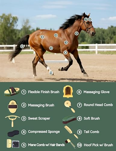 11-Piece Horse Grooming Kit with Waterproof Tote Pasture Glow - color: Pasture Glow