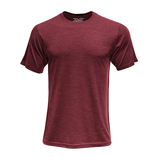 SHEEP RUN Men's Merino Wool Lightweight Hiking Running Workout Breathable Base Layer T Shirt - color: Carmine, size: Medium