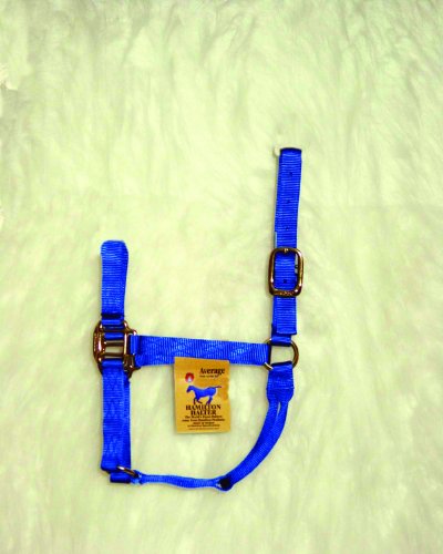 Reflective Quality Halter