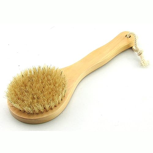 9.84 Inch Dry Body Brush Back Scrubber, Wooden Short Handle Natural Bristles Bath & Shower Brush. - size: 9.84 Inch Short Handle Wooden Natural Bristles