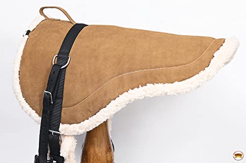 HILASON Bareback Pad Western Saddle Pad with Breast Collar - Shock Absorbing
