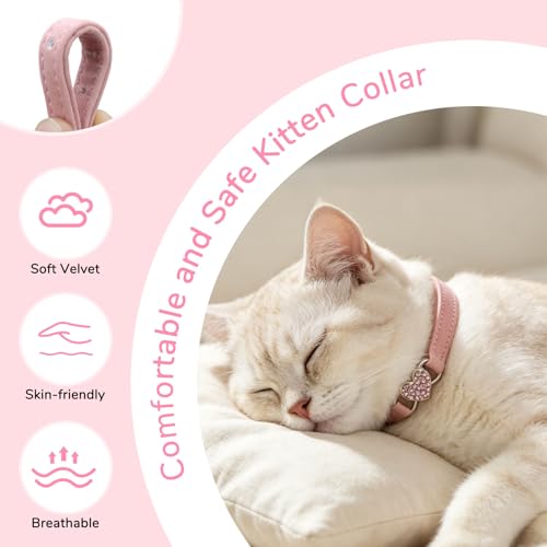 BINGPET Diamond Cat Collar with Bell, Adjustable Kitten Collar, Pink - color: Pink(Heart), size: Neck Girth 6"-8"