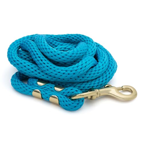 Weaver Equine 8' Horse Lead Rope with Brass-Plated Snap - color: Hurricane Blue
