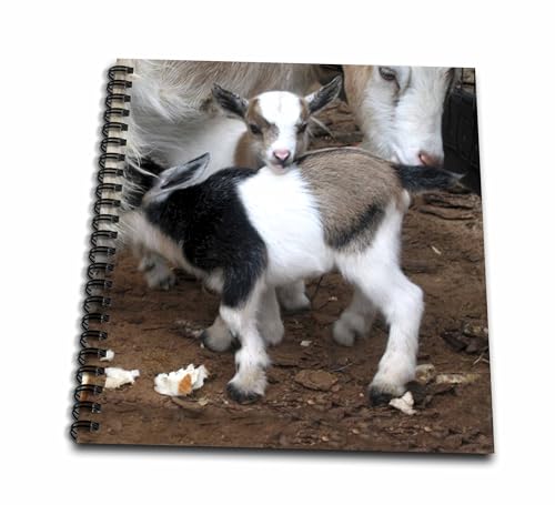 Memory Book 12 x 12 inch - Pygmy goat family Farm Animals