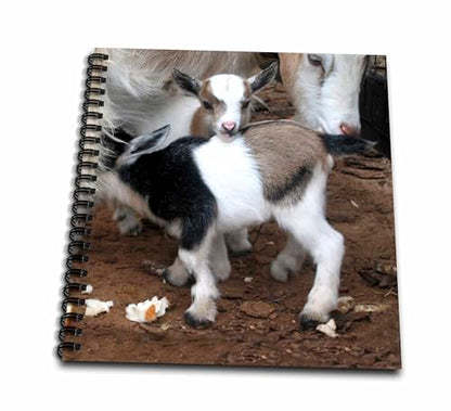 Drawing Book 8 x 8 inch - Pygmy goat family Farm Animals