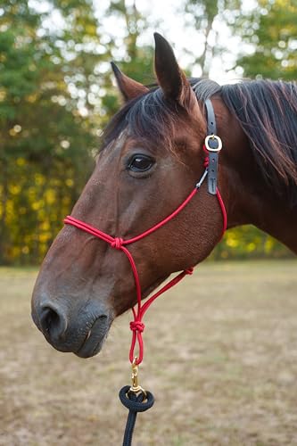 Custom Quick Release Stiff Rope Halter with Leather Crown