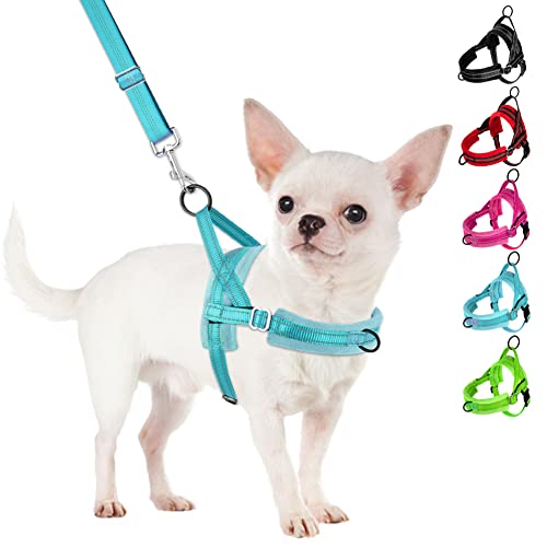 SlowTon No Pull Small Dog Harness and Leash Set with Front Clip | Soft Padded, Neck & Chest Adjustable, Lightweight, Anti-Twist, Puppy Vest Harness Pet Lead Combo for Small Medium Dog, TL XS - color: Teal, size: X-Small