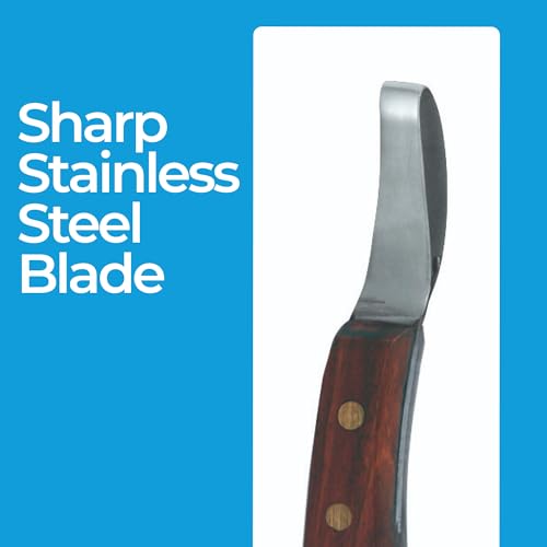 7 Inch Swiss Hoof Knife Double Edged – Stainless Steel Curved Blade Farrier Tool with Round Wooden Grip, Multipurpose Hoof Trimming Knife for Livestock. (Oval Hoof Knife) - style: Oval Hoof Knife