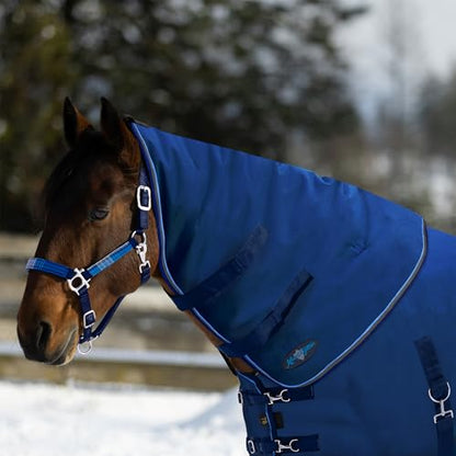 Kensington All Around Signature Weight Neck Warmer 180G (Small, Navy) - color: (Navy), size: Small