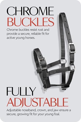 HORZE Adjustable Mini Horse Halter, Nylon Design for Foals, Colts, Fillies - color: Black