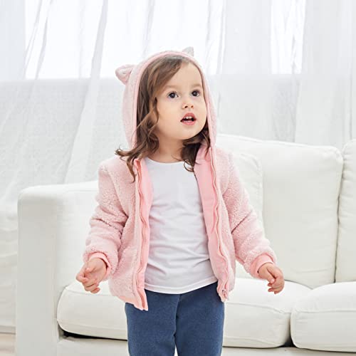 Newborn Infant Baby Boys Girls Cartoon Fleece Hooded Jacket Coat with Ears Warm Todder Kids Outwear Coat Zipper Up 0-6Y - color: Pink, size: 3-6 Months