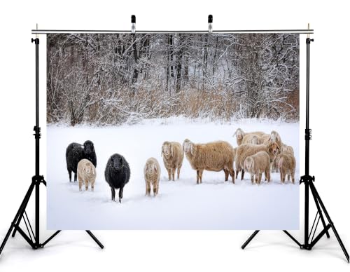 4x4ft Fabric Fabric Winter Snow Sheep Backdrop Mixed Black White Wool Flock Snow Covered Wood White Ground Photography Background Tapestry Party Farm Decorations Banner Photo Booth Props - size: 4x4ft