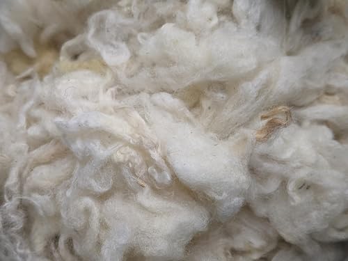 1 Lb raw Wool Sheep Washed w/Debris,Natural Wool for Stuffing Animals, Crafts, Cushions, Pillow Filler, Needle Felting Spinning.School Projects
