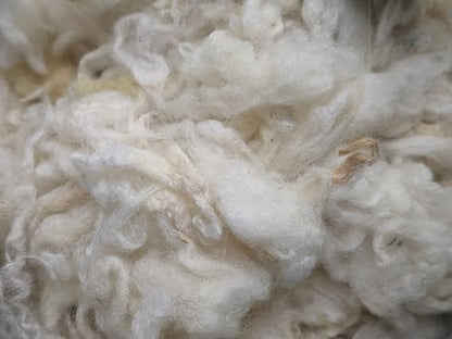1 Lb raw Wool Sheep Washed w/Debris,Natural Wool for Stuffing Animals, Crafts, Cushions, Pillow Filler, Needle Felting Spinning.School Projects