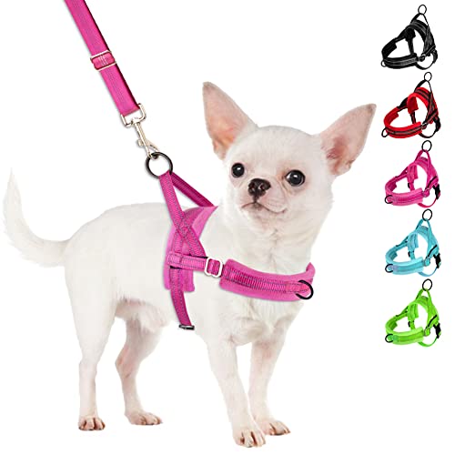 SlowTon No Pull Small Dog Harness and Leash Set with Front Clip | Soft Padded, Neck & Chest Adjustable, Lightweight, Anti-Twist, Puppy Vest Harness Pet Lead Combo for Small Medium Dog, FU XXS - color: Fuchsia, size: XX-Small
