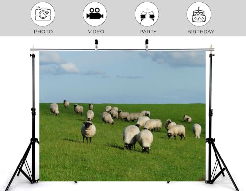 5x3ft Fabric Black Face Sheep Grassland Backdrop Flock Wool Ewes Lush Green Pasture Pale Cloud Sky Photography Background Tapestry Party Farm Rural Decorations Photo Booth Props - size: 5x3ft